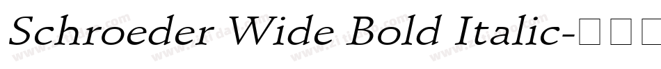 Schroeder Wide Bold Italic字体转换